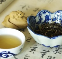 儿茶的的药用价值有哪些?